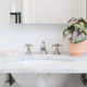 The Sill Faux Rex Begonia, $75